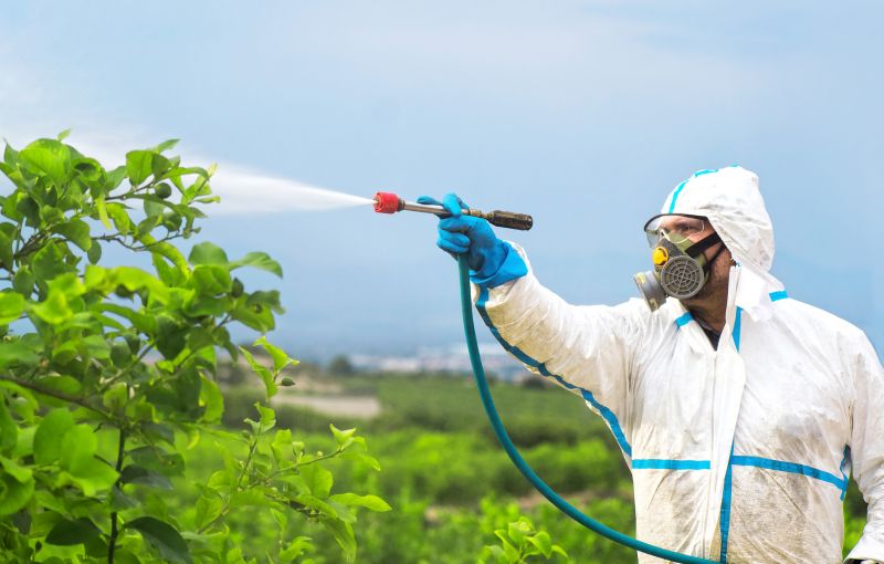 Commercial Fumigation in Myrtle Beach, SC