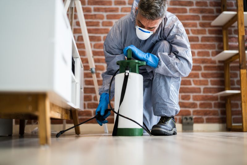 Pest Control in Commercial Spaces