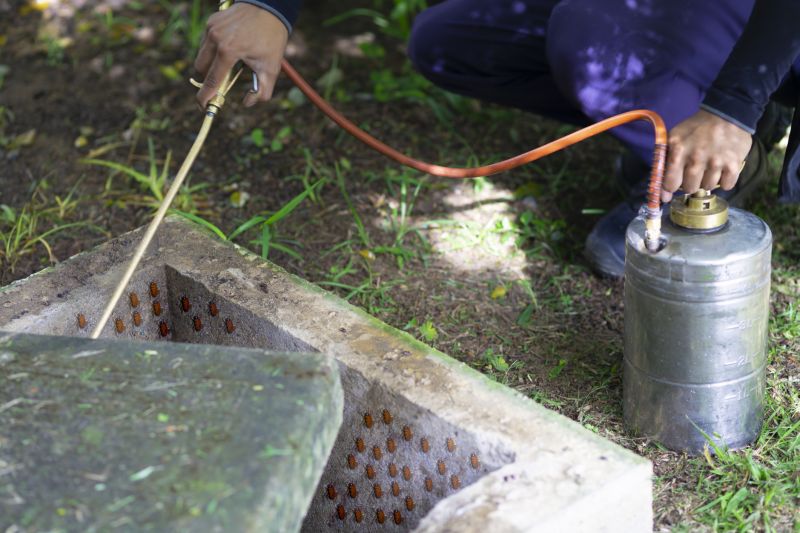 Fumigation Service in Fort Myers, FL