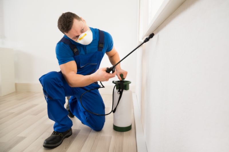 Mud Dauber Extermination in Katy, TX
