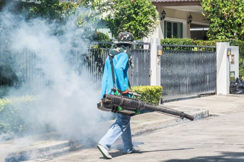 Spider Fumigation Service in Winston Salem, NC