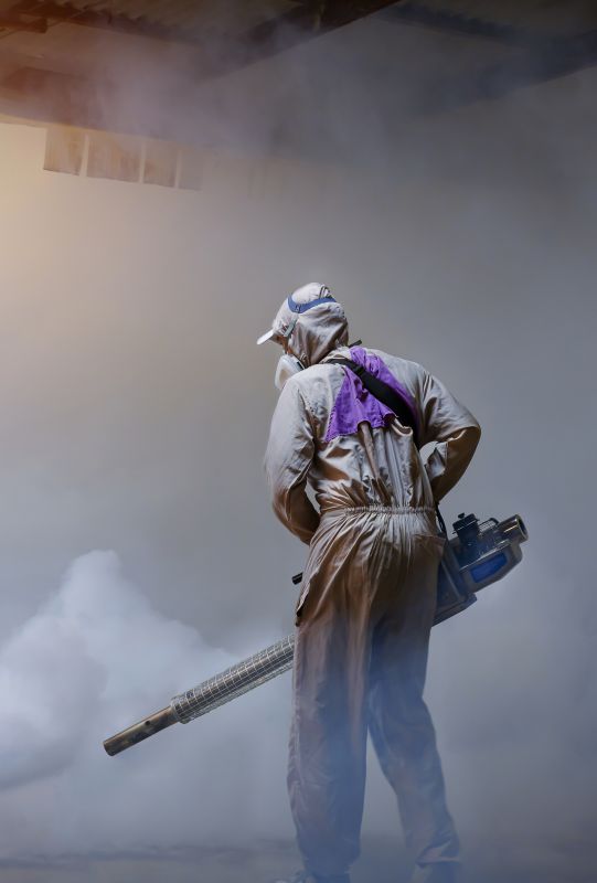 Roach Fumigation in West Palm Beach, FL